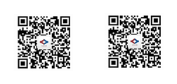 重庆午夜三级视频